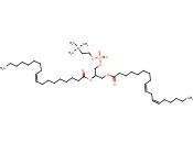 <span class='lighter'>1-LINOLEOYL-2-OLEOYL-SN-GLYCERO-3-PHOSPHORYLCHOLINE</span>