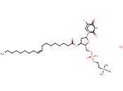 2,6-<span class='lighter'>吡</span><span class='lighter'>嗪</span>二甲醇,3-甲基-