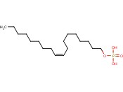 <span class='lighter'>磷酸</span><span class='lighter'>二</span>氢-9-十八烯-1-醇<span class='lighter'>酯</span>