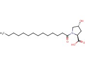 N-TETRADECANOYL-<span class='lighter'>HYDROXYPROLINE</span>