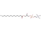 1-肉豆蔻-sn-<span class='lighter'>甘油</span>-3-<span class='lighter'>磷酸</span>胆碱