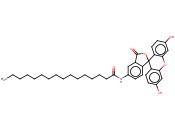 5-(N-<span class='lighter'>十六</span><span class='lighter'>烷</span><span class='lighter'>酰</span>)氨基荧光黄