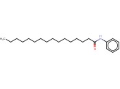 <span class='lighter'>棕榈</span><span class='lighter'>酰</span>苯胺