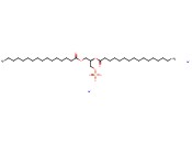 <span class='lighter'>16</span>:0 <span class='lighter'>PA</span> <span class='lighter'>SODIUM</span> SALT