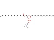 L-alpha-二<span class='lighter'>棕榈</span><span class='lighter'>酰</span>磷脂<span class='lighter'>酰</span>胆碱