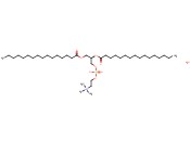 二<span class='lighter'>棕榈</span>酸磷脂<span class='lighter'>酰</span>胆碱