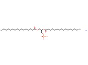 <span class='lighter'>16</span>:0 <span class='lighter'>PA</span> <span class='lighter'>SODIUM</span> SALT