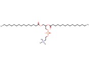 二<span class='lighter'>棕榈</span><span class='lighter'>酰</span>磷脂<span class='lighter'>酰</span>胆碱(DPPC)