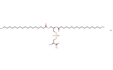 <span class='lighter'>1,2-DISTEAROYL-SN-GLYCERO-3-PHOSPHO-L-SERINE</span> <span class='lighter'>SODIUM</span> SALT