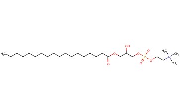 1,3-<span class='lighter'>丙</span>二<span class='lighter'>胺</span>,N1-(2-甲基-6-喹啉基)-