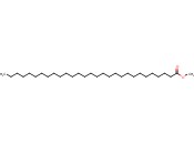 二十九烷<span class='lighter'>酸</span><span class='lighter'>甲</span><span class='lighter'>酯</span>