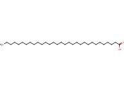 正三十一(烷)<span class='lighter'>酸</span>