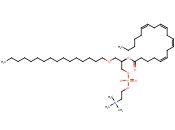1-O-<span class='lighter'>棕榈</span>基-2-花生<span class='lighter'>酰</span>基-sn-甘油-3-胆碱磷酸