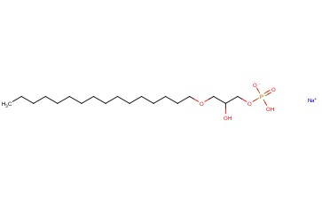 HEXADECYL-PHOSPHO-RAC-<span class='lighter'>GLYCEROL</span> SODIUM SALT