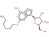 1-(4-羟基苯基)-4-羰基-1,4-二氢吡啶-2,6-二<span class='lighter'>甲</span><span class='lighter'>酰</span><span class='lighter'>肼</span>