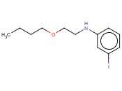 N-(2-BUTOXYETHYL)-<span class='lighter'>3-IODOANILINE</span>