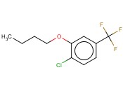 3-N-BUTOXY-4-<span class='lighter'>CHLOROBENZOTRIFLUORIDE</span>