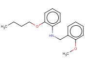2-BUTOXY-N-(<span class='lighter'>2-METHOXYBENZYL</span>)ANILINE