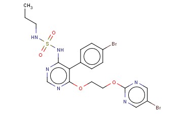 <span class='lighter'>MACITENTAN</span>