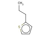 2-<span class='lighter'>正</span>丙基噻吩