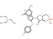 8-PCPT-<span class='lighter'>CGMP</span>, TEA