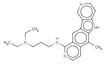 泊泽<span class='lighter'>尼</span>普定