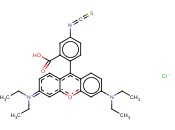 RHODAMINE B ISOTHIOCYANATE CONJUGATION <span class='lighter'>GRADE</span>