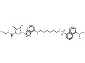 1-脱氧-1-[6-[[6-[[[5-(二<span class='lighter'>甲</span><span class='lighter'>氨基</span>)-1-萘<span class='lighter'>基</span>]磺<span class='lighter'>酰</span><span class='lighter'>基</span>]<span class='lighter'>氨基</span>]己<span class='lighter'>基</span>]<span class='lighter'>氨基</span>]-9H-嘌呤-9-<span class='lighter'>基</span>]-N-乙基-β-D-ribofuranuronamide