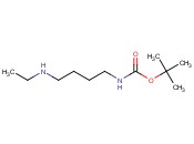 [4-(<span class='lighter'>乙基</span>氨基)丁基]氨基甲酸<span class='lighter'>叔</span><span class='lighter'>丁</span><span class='lighter'>酯</span>
