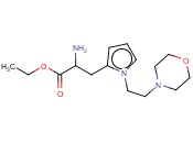 RARECHEM AL MG <span class='lighter'>2004</span>