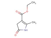2-METHYL-5-OXO-4,5-DIHYDRO-1H-PYRROLE-3-CARBOXYLIC ACID ETHYL ESTER