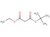 丙<span class='lighter'>二</span>酸<span class='lighter'>叔</span><span class='lighter'>丁</span><span class='lighter'>酯</span>乙<span class='lighter'>酯</span>