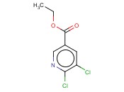5,6-二<span class='lighter'>氯</span><span class='lighter'>烟酸</span>乙酯