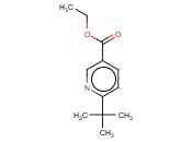 ETHYL 6-(TERT-BUTYL)<span class='lighter'>NICOTINATE</span>