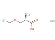 O-<span class='lighter'>乙</span>氧基-<span class='lighter'>L-</span>丝<span class='lighter'>氨酸盐酸盐</span>