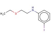 N-(2-ETHOXYETHYL)-<span class='lighter'>3-IODOANILINE</span>