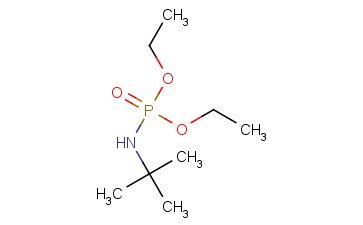 <span class='lighter'>DIETHYL</span> <span class='lighter'>TERT-BUTYL</span> <span class='lighter'>AMIDOPHOSPHATE</span>