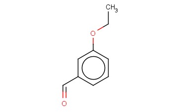 3-乙<span class='lighter'>氧基</span><span class='lighter'>苯</span><span class='lighter'>甲醛</span>