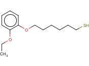 6-(2-ETHOXYPHENOXY)<span class='lighter'>HEXANE</span>-1-THIOL