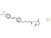 N-HYDROXYSUCCINIMIDE ACTIVATED MEGASTOKES <span class='lighter'>DYE</span> 605