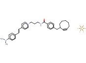 ALKYNE MEGASTOKES <span class='lighter'>DYE</span> 608