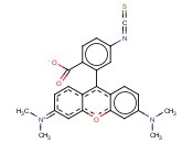 四甲基罗丹明-5(6)<span class='lighter'>异</span><span class='lighter'>硫</span><span class='lighter'>氰酸</span><span class='lighter'>酯</span>