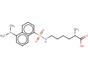 Nε-丹磺酰- L -赖<span class='lighter'>氨酸</span>