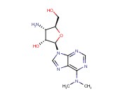 6-(Dimethyl<span class='lighter'>amino</span>)-9-(3-<span class='lighter'>amino</span>-3-deoxy-β-D-ribofuranosyl)purine