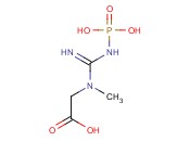 N-(PHOSPHONOAMIDINO)-<span class='lighter'>SARCOSINE</span>