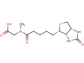 BIOTIN-<span class='lighter'>SARCOSINE</span>