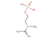 2-(1-Methylguanidino)ethyl <span class='lighter'>dihydrogen</span> <span class='lighter'>phosphate</span>