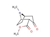 2甲酯-3-<span class='lighter'>托</span><span class='lighter'>品</span>酮