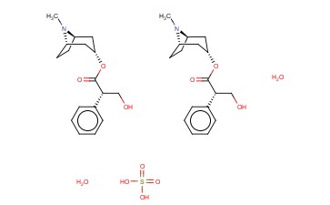 莨菪<span class='lighter'>碱</span>硫酸盐水合<span class='lighter'>物</span>