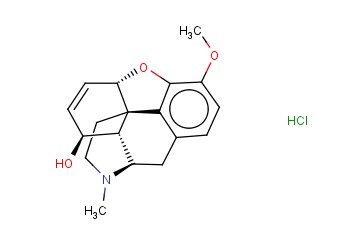 <span class='lighter'>PSEUDO</span> CODEINE HYDROCHLORIDE